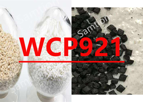 Σαμπικ Noryl WCP921 Σφραγίδες, Ανταποκλιμακτικές και Συνδέσεις.